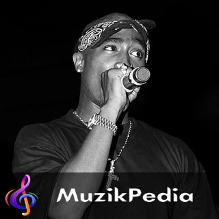 MuzikPedia Sanatçısı