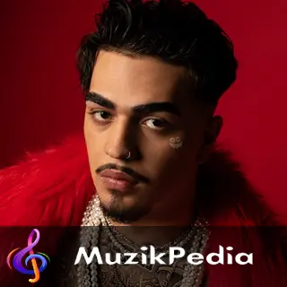 MuzikPedia Sanatçısı